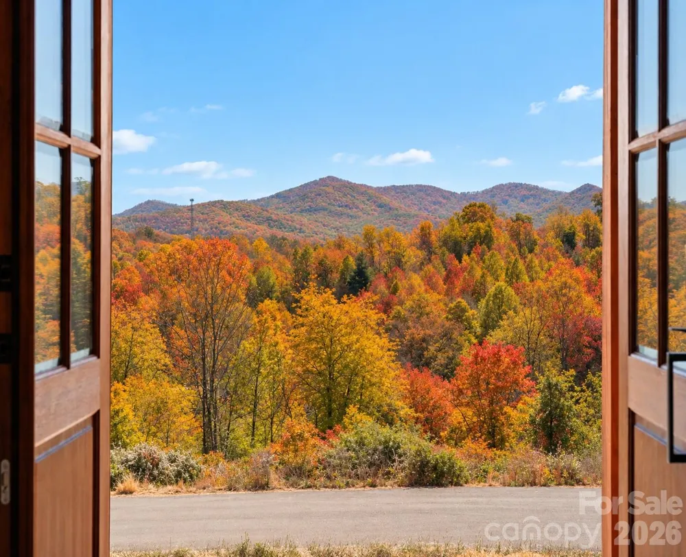 111 Pisgah Gap Drive Candler, NC 28715