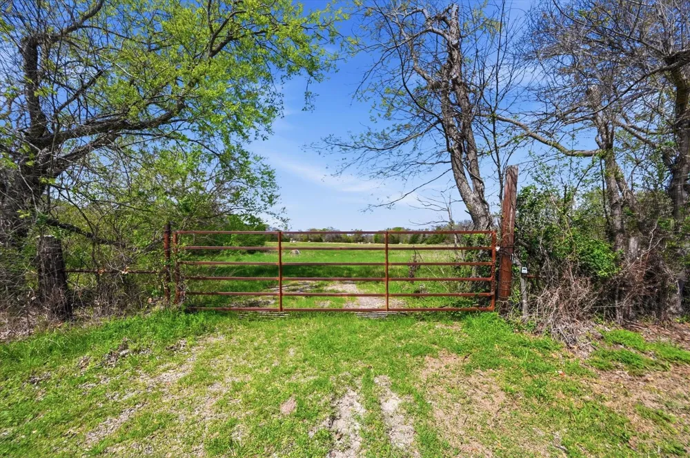Griffith Avenue Terrell, TX 75160