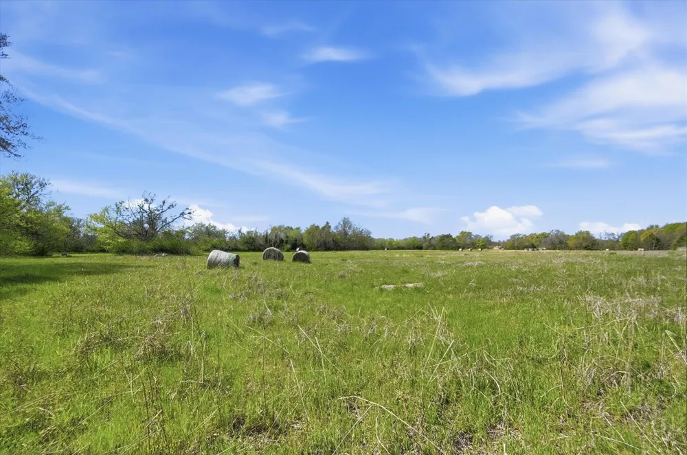 Griffith Avenue Terrell, TX 75160