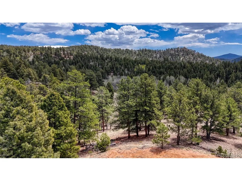 16 View Circle Florissant, CO 80816