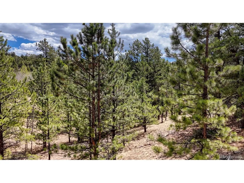 16 View Circle Florissant, CO 80816