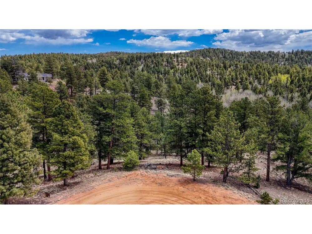 16 View Circle Florissant, CO 80816