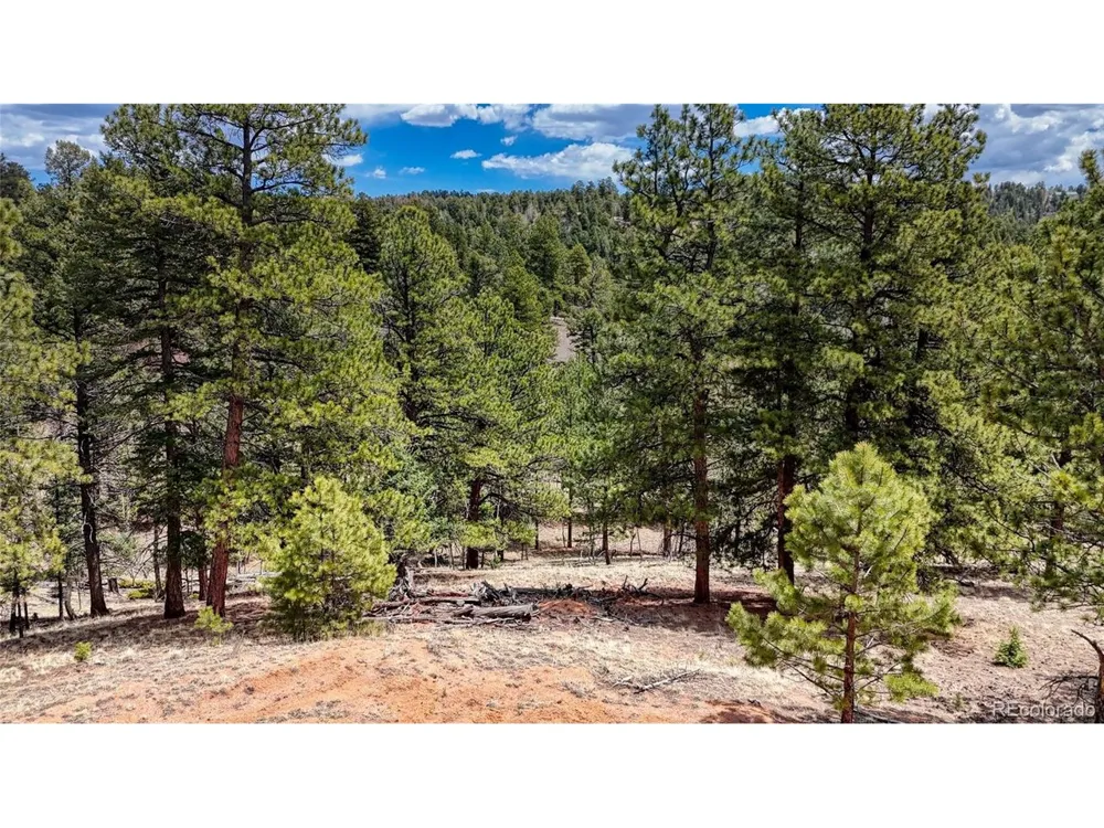 16 View Circle Florissant, CO 80816