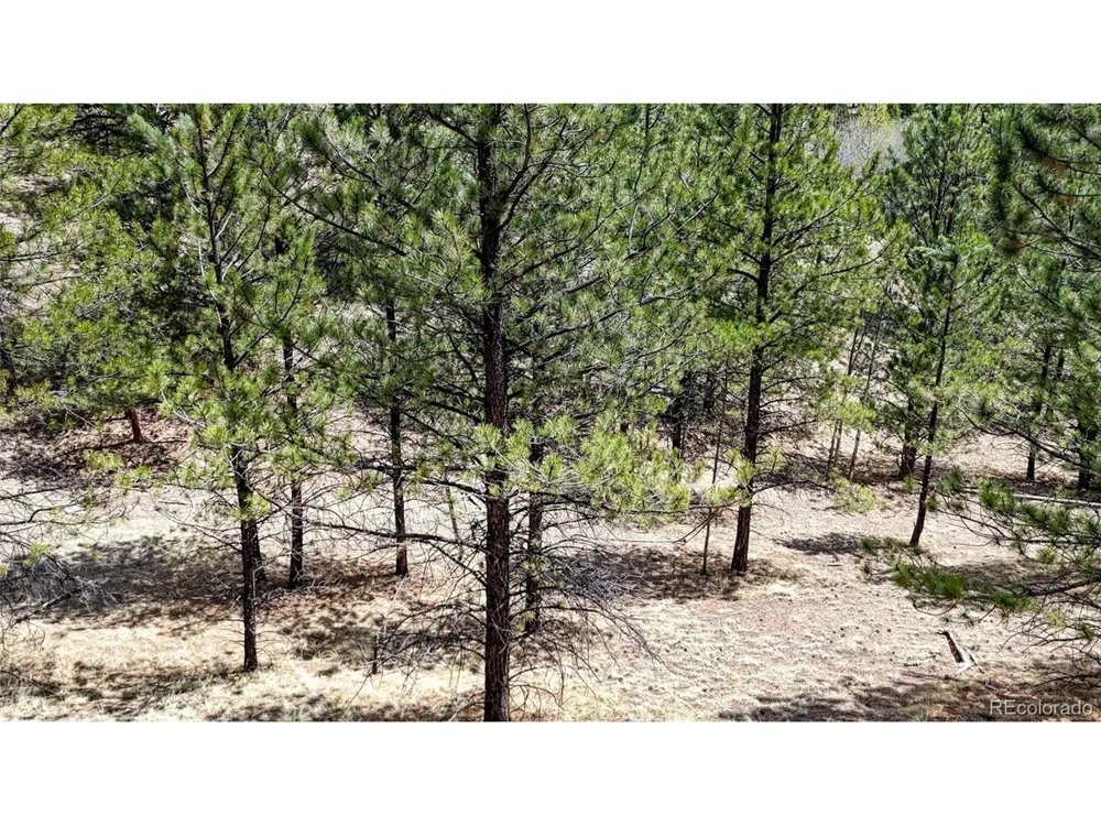 16 View Circle Florissant, CO 80816
