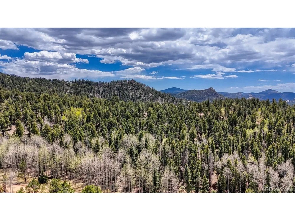 16 View Circle Florissant, CO 80816