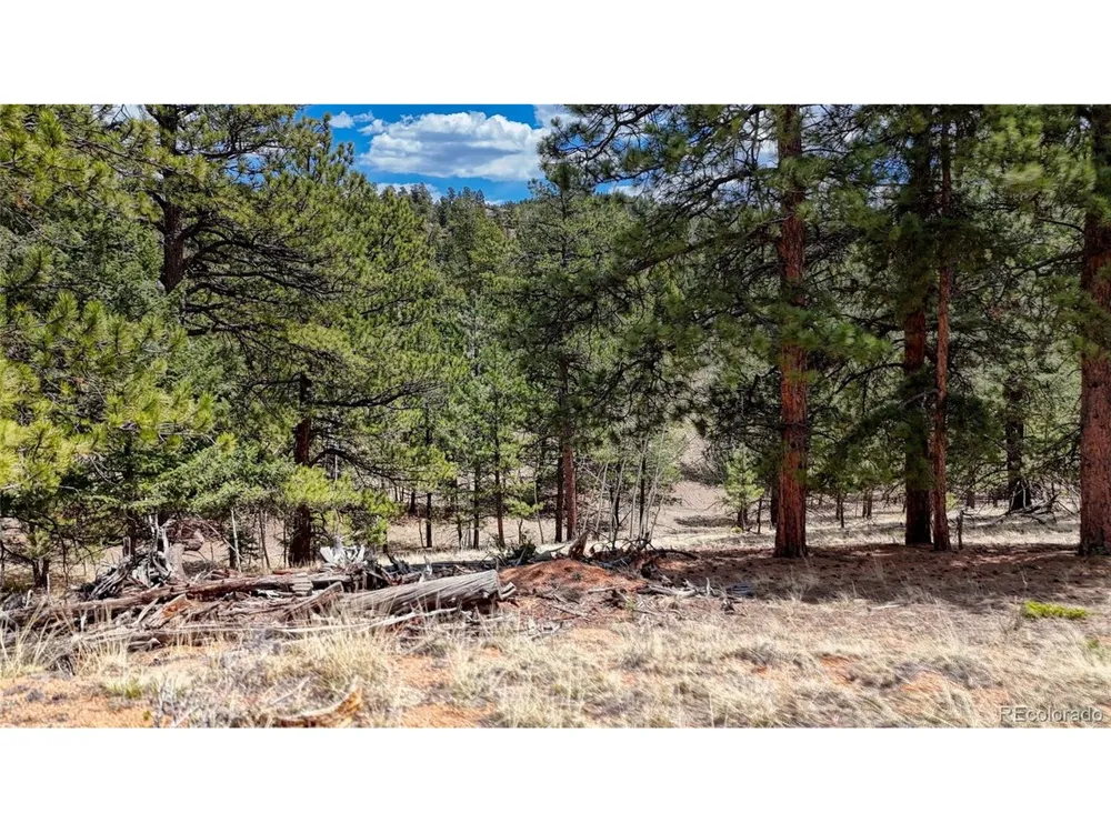 16 View Circle Florissant, CO 80816