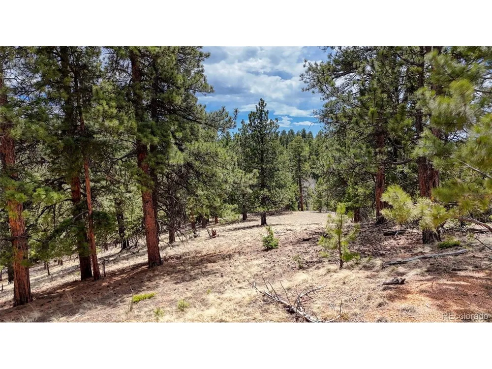 16 View Circle Florissant, CO 80816