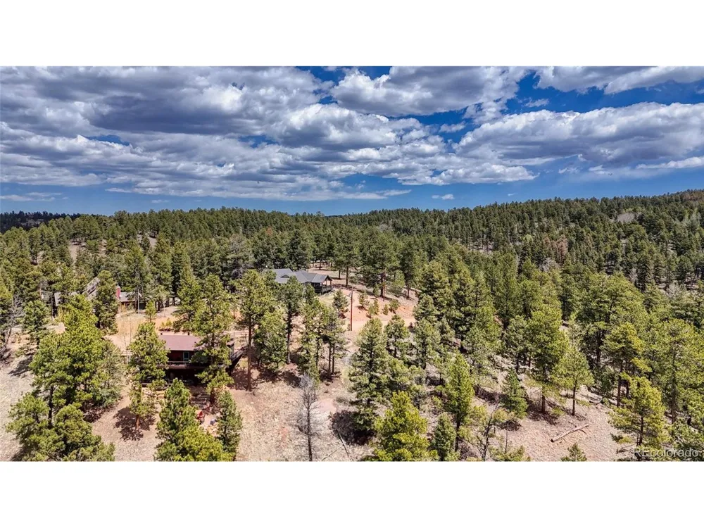 16 View Circle Florissant, CO 80816