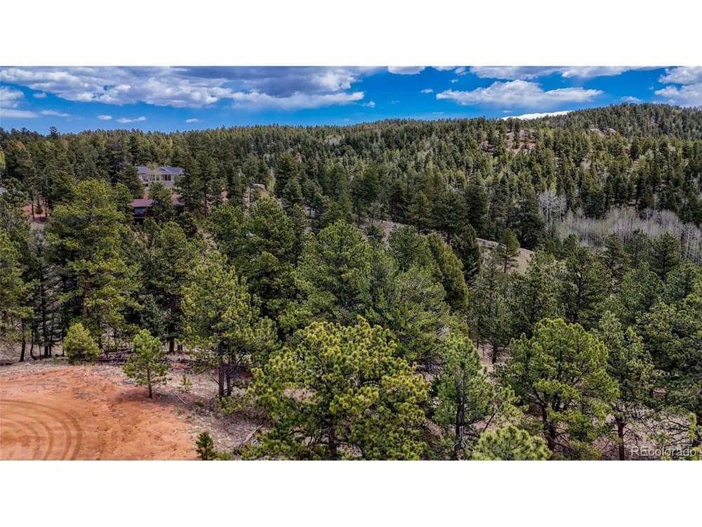 16 View Circle Florissant, CO 80816