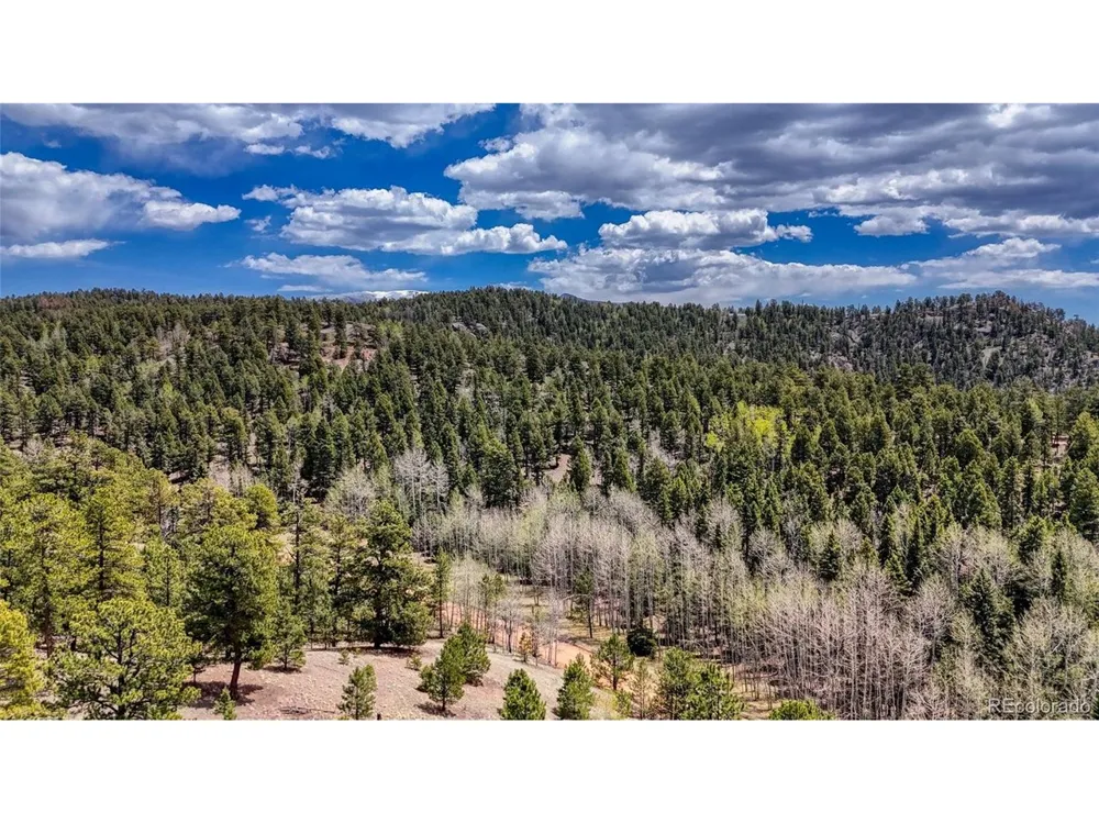 16 View Circle Florissant, CO 80816