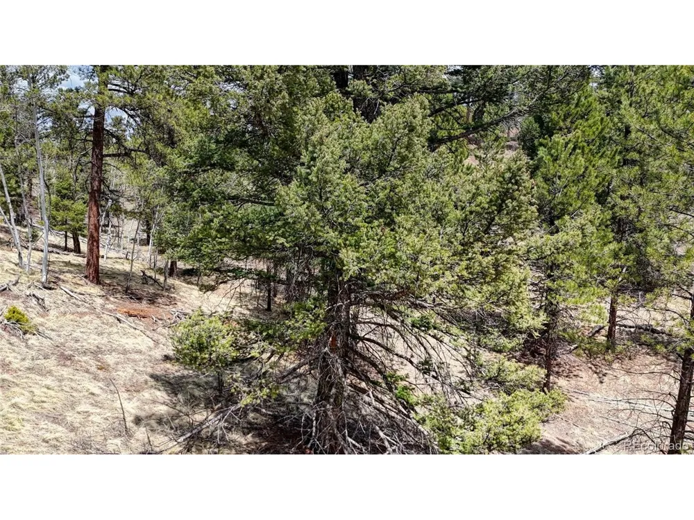 16 View Circle Florissant, CO 80816