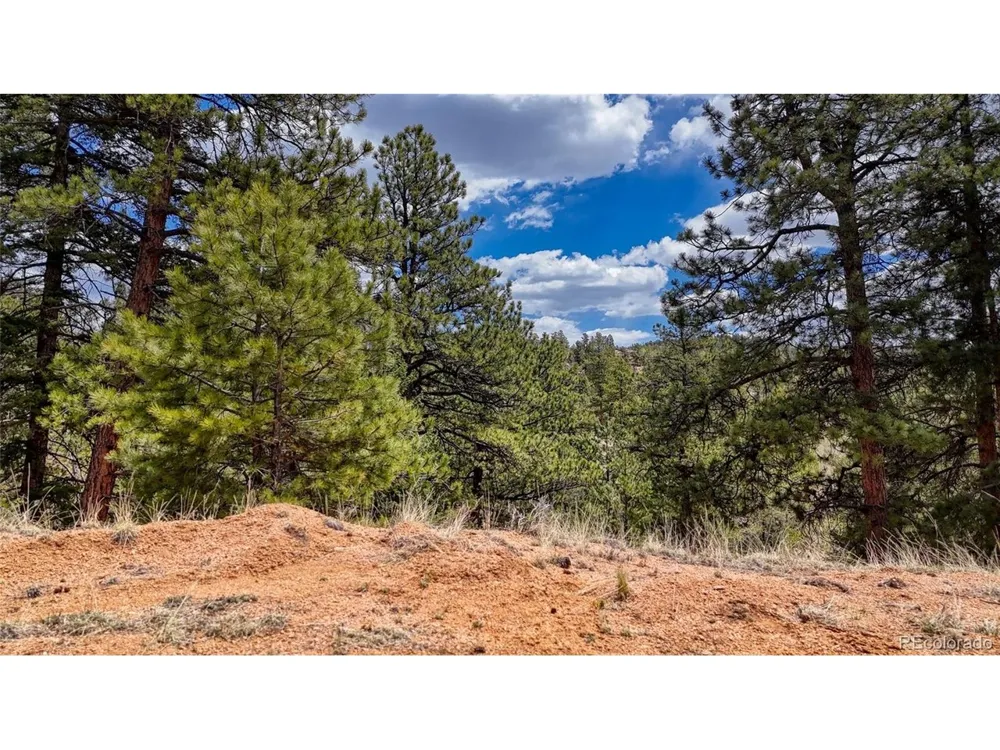 16 View Circle Florissant, CO 80816