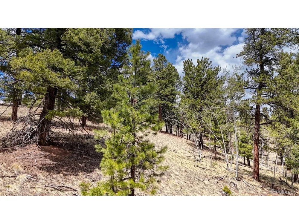 16 View Circle Florissant, CO 80816