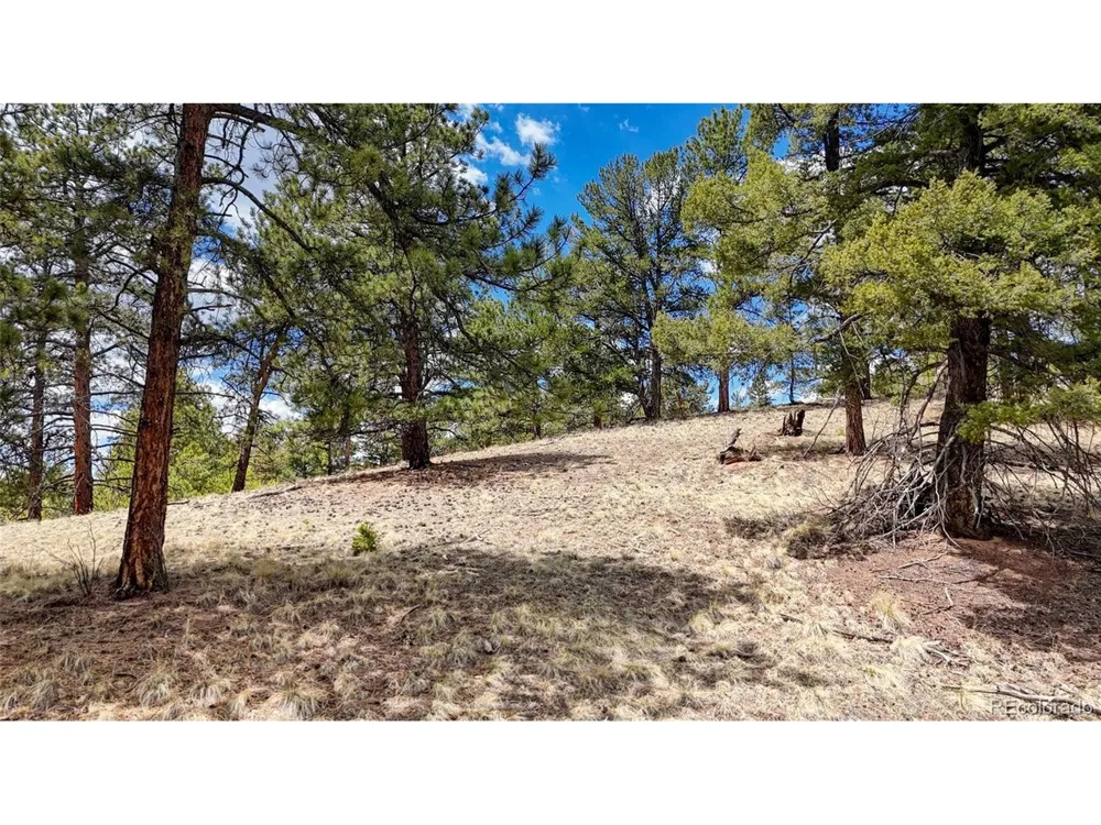 16 View Circle Florissant, CO 80816