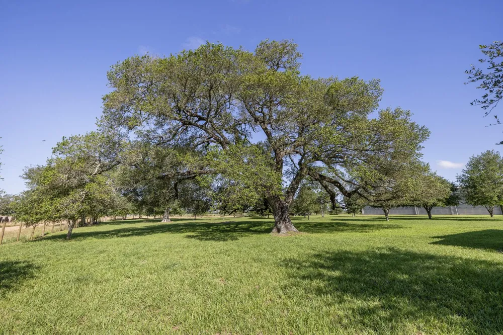 1195 County Road 161 Rock Island, TX 77470