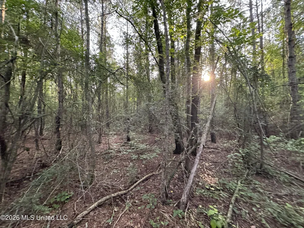 Lot 2 River Road Summit, MS 39666