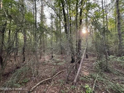 Lot 2 River Road
