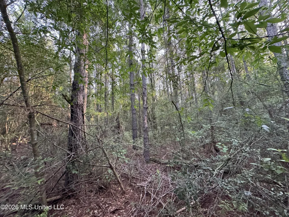 Lot 2 River Road Summit, MS 39666