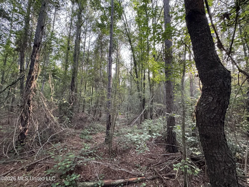 Lot 2 River Road Summit, MS 39666