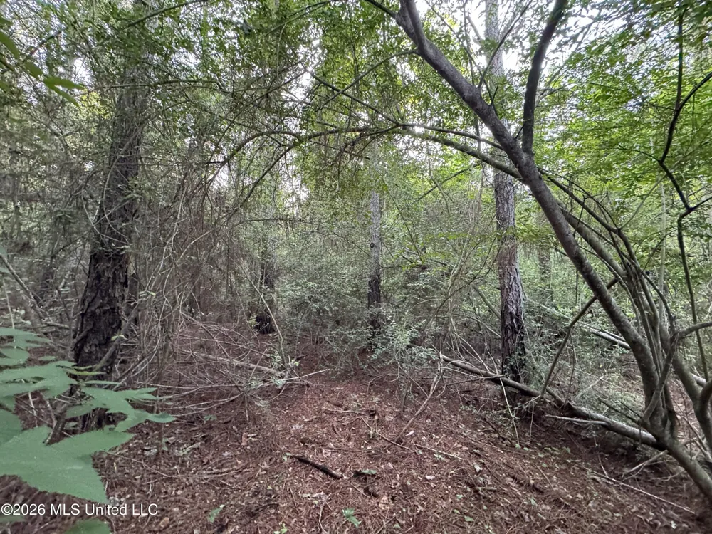 Lot 2 River Road Summit, MS 39666