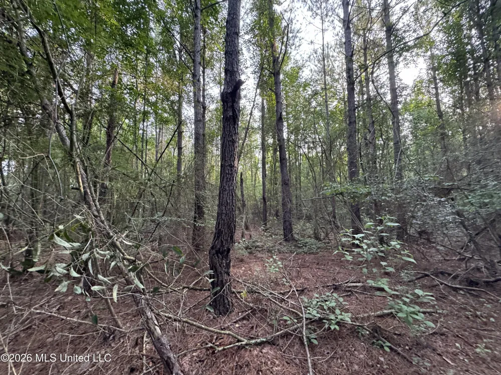 Lot 2 River Road Summit, MS 39666