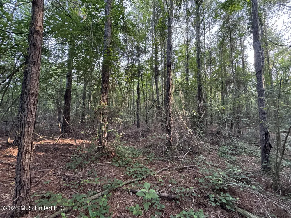 Lot 2 River Road Summit, MS 39666