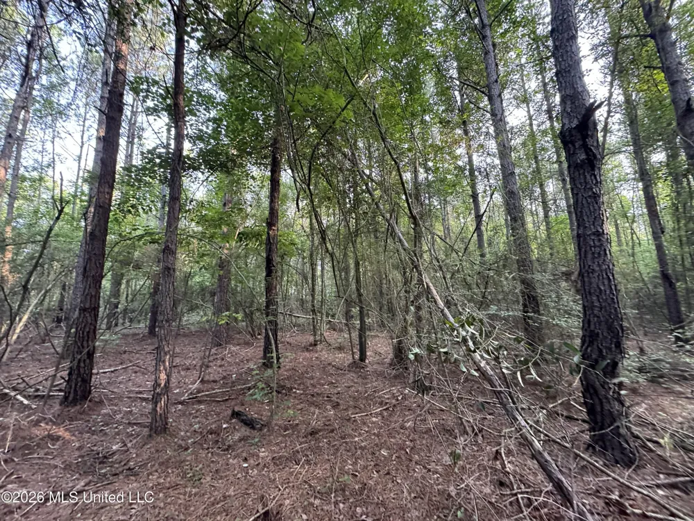 Lot 2 River Road Summit, MS 39666