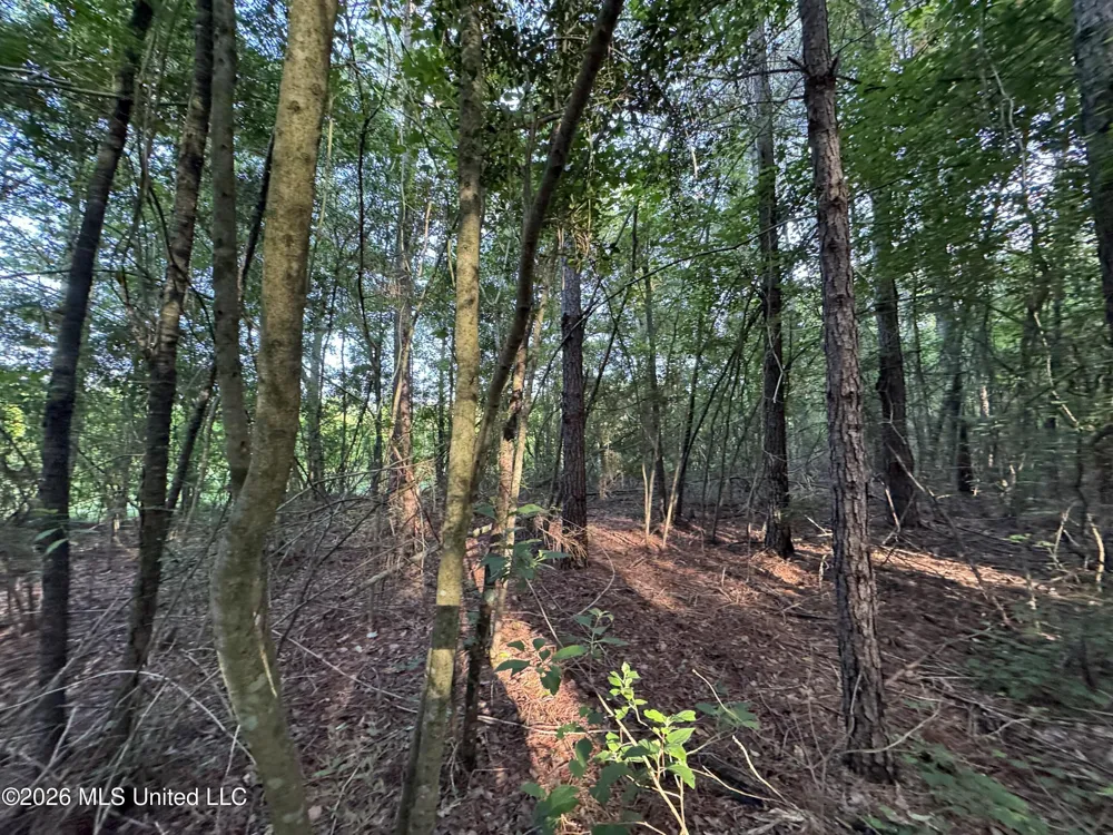 Lot 2 River Road Summit, MS 39666