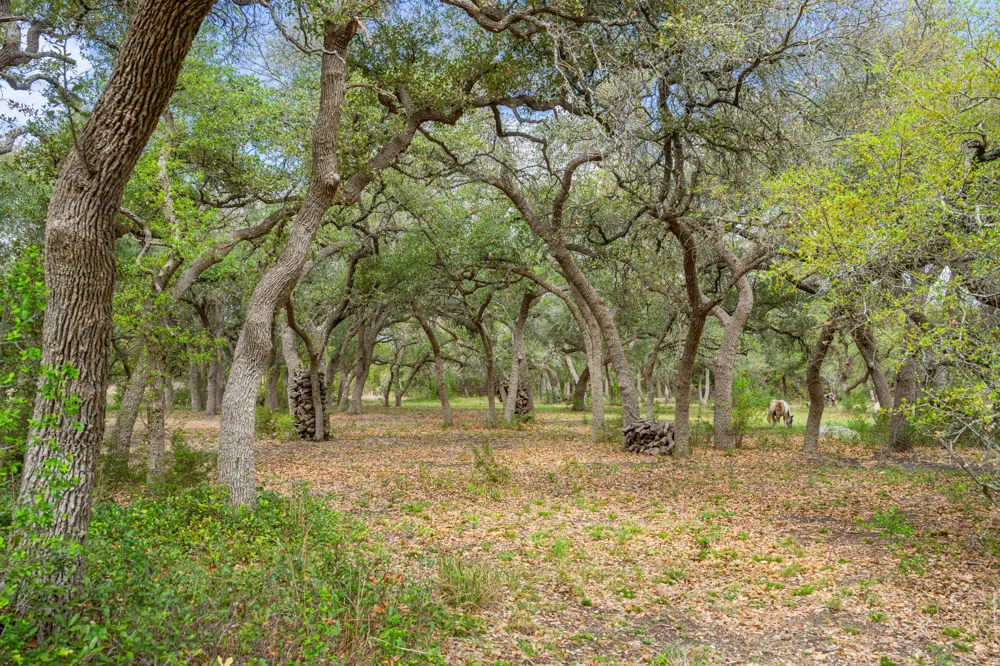 100 Rainbow's End Wimberley, TX 78676