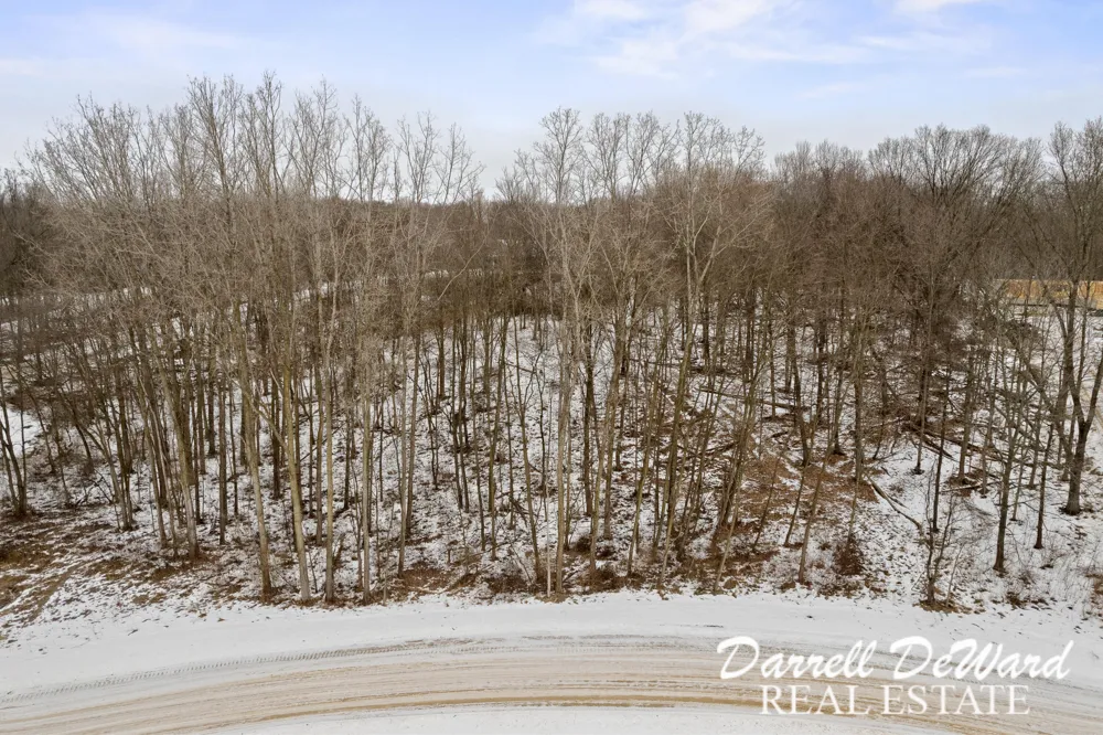 North Ridge Court Middleville, MI 49333