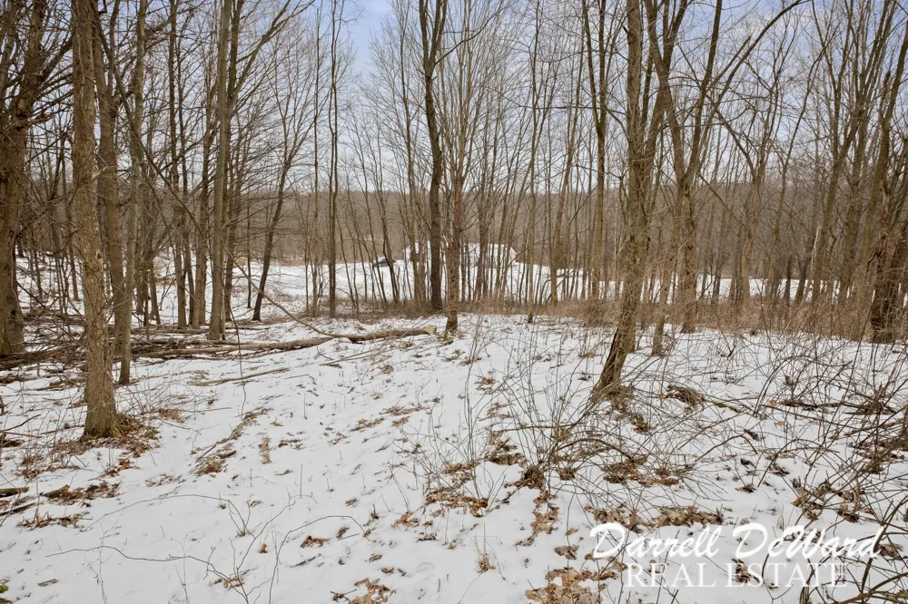 North Ridge Court Middleville, MI 49333