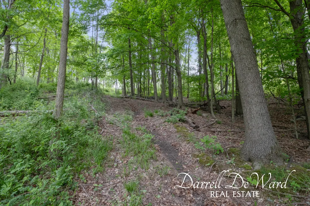 North Ridge Court Middleville, MI 49333