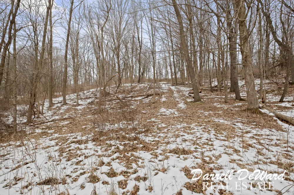 North Ridge Court Middleville, MI 49333