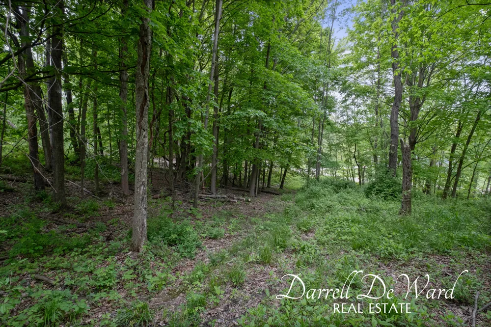 North Ridge Court Middleville, MI 49333