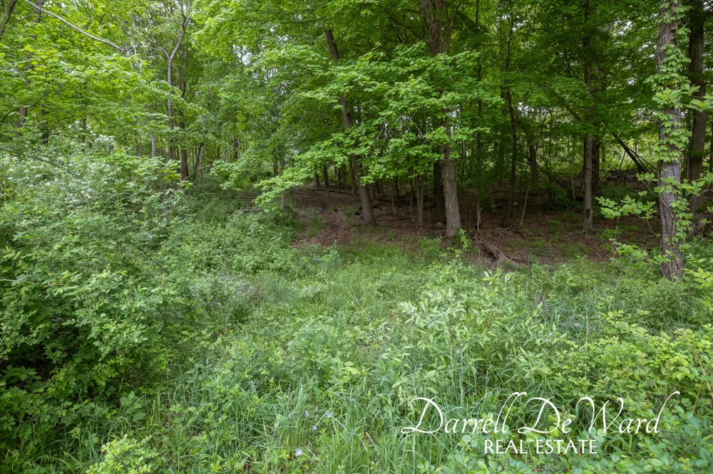 North Ridge Court Middleville, MI 49333