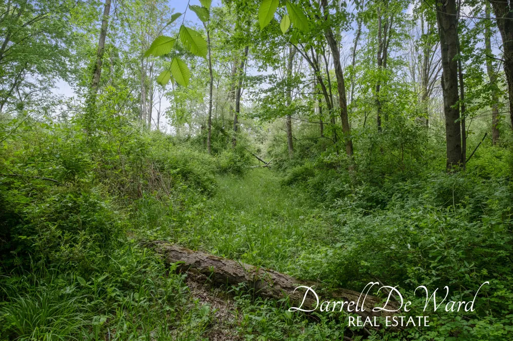 North Ridge Court Middleville, MI 49333