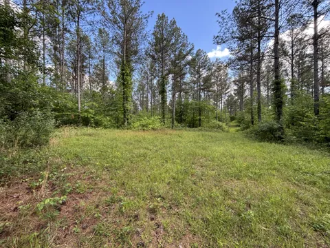 82 Bennie Camp Road