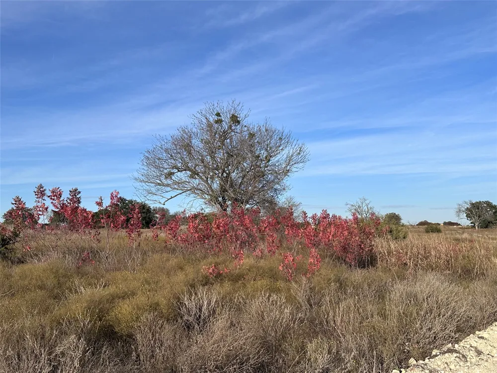 245 Grand Canyon Drive Oglesby, TX 76561