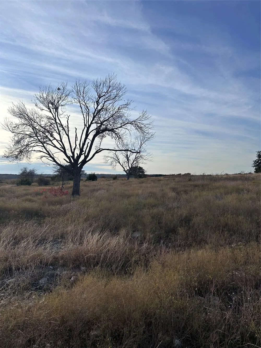 245 Grand Canyon Drive Oglesby, TX 76561