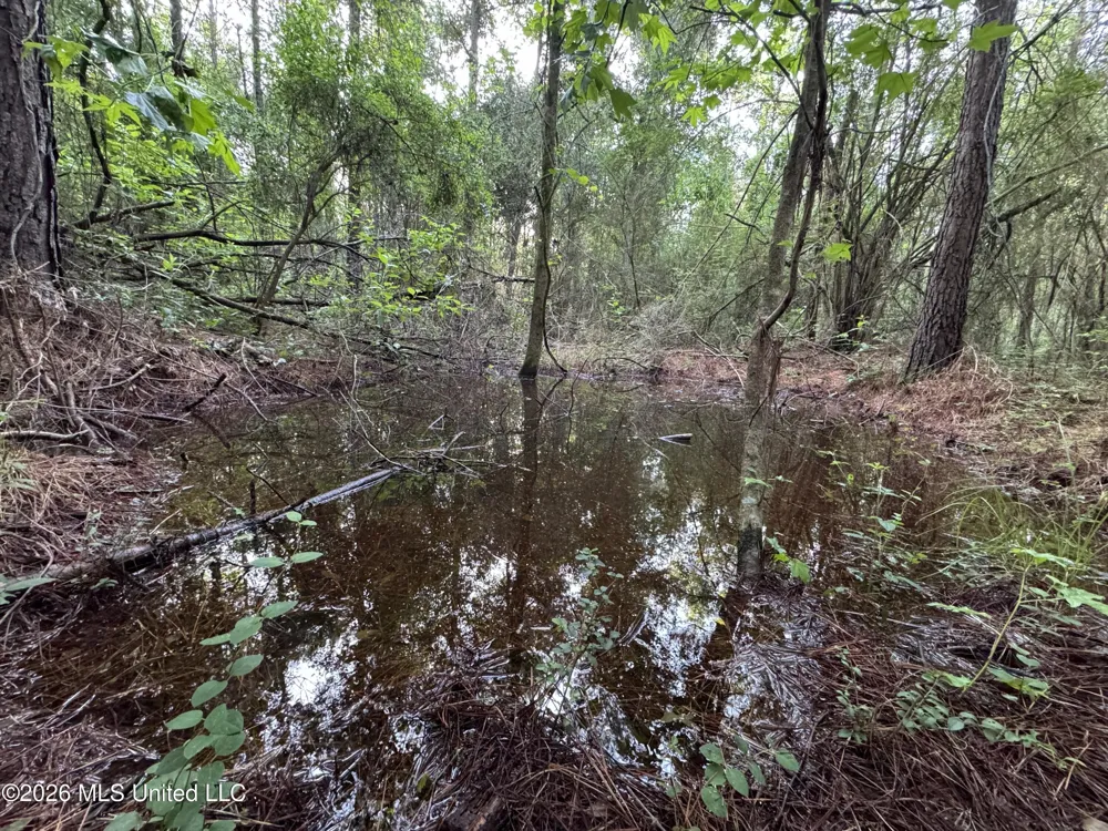 Lot 3 River Road Summit, MS 39666