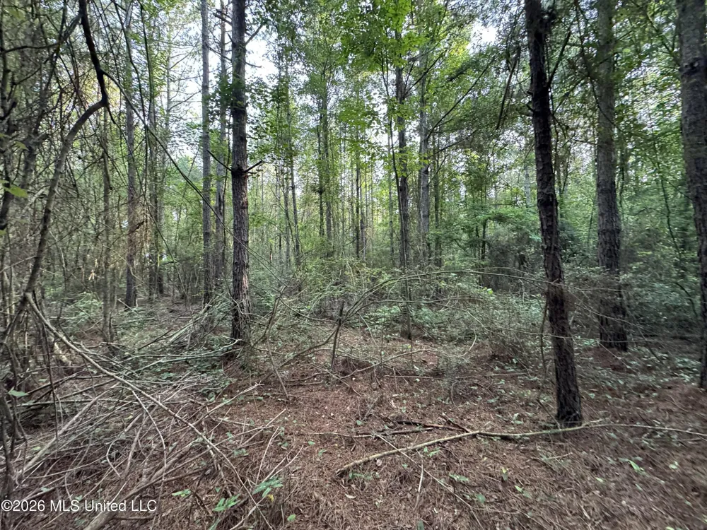 Lot 3 River Road Summit, MS 39666