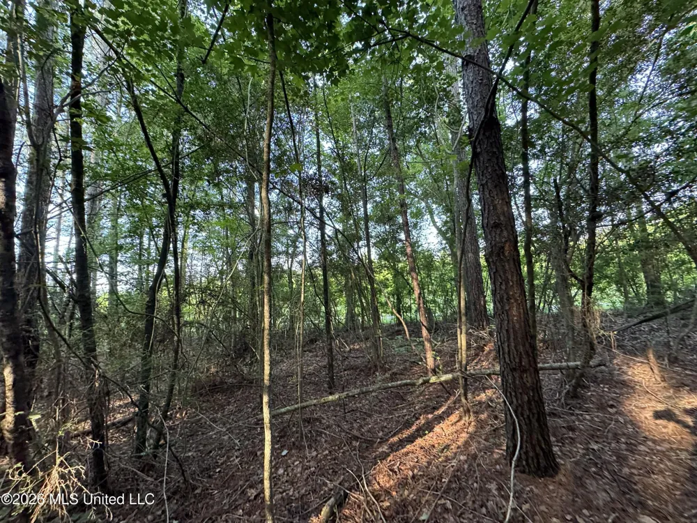 Lot 3 River Road Summit, MS 39666