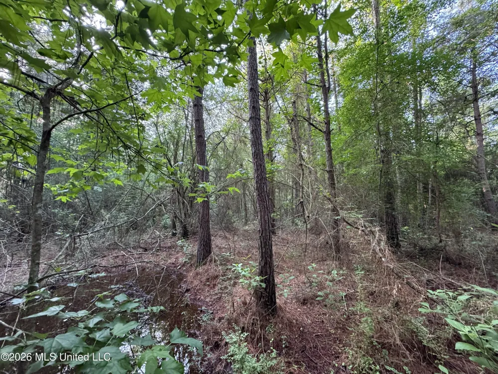 Lot 3 River Road Summit, MS 39666