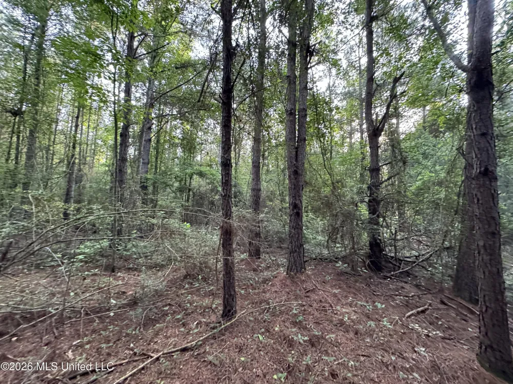 Lot 3 River Road Summit, MS 39666
