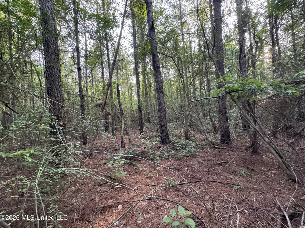 Lot 3 River Road Summit, MS 39666