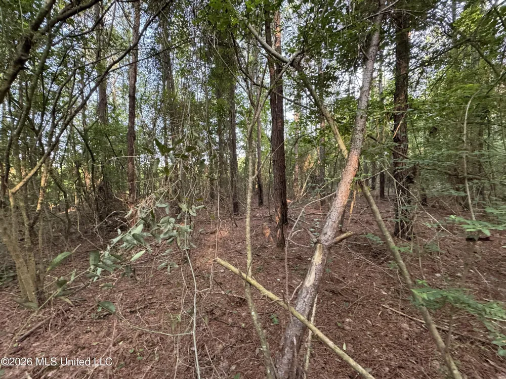 Lot 3 River Road Summit, MS 39666