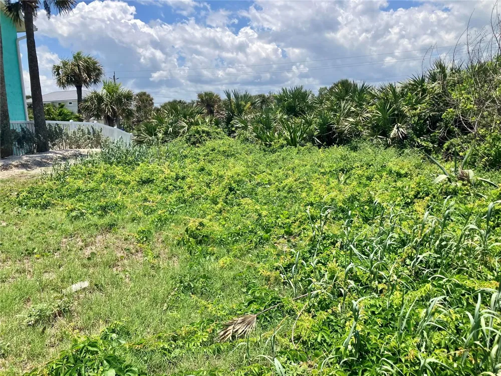 6000 S ATLANTIC AVENUE New Smyrna Beach, FL 32169