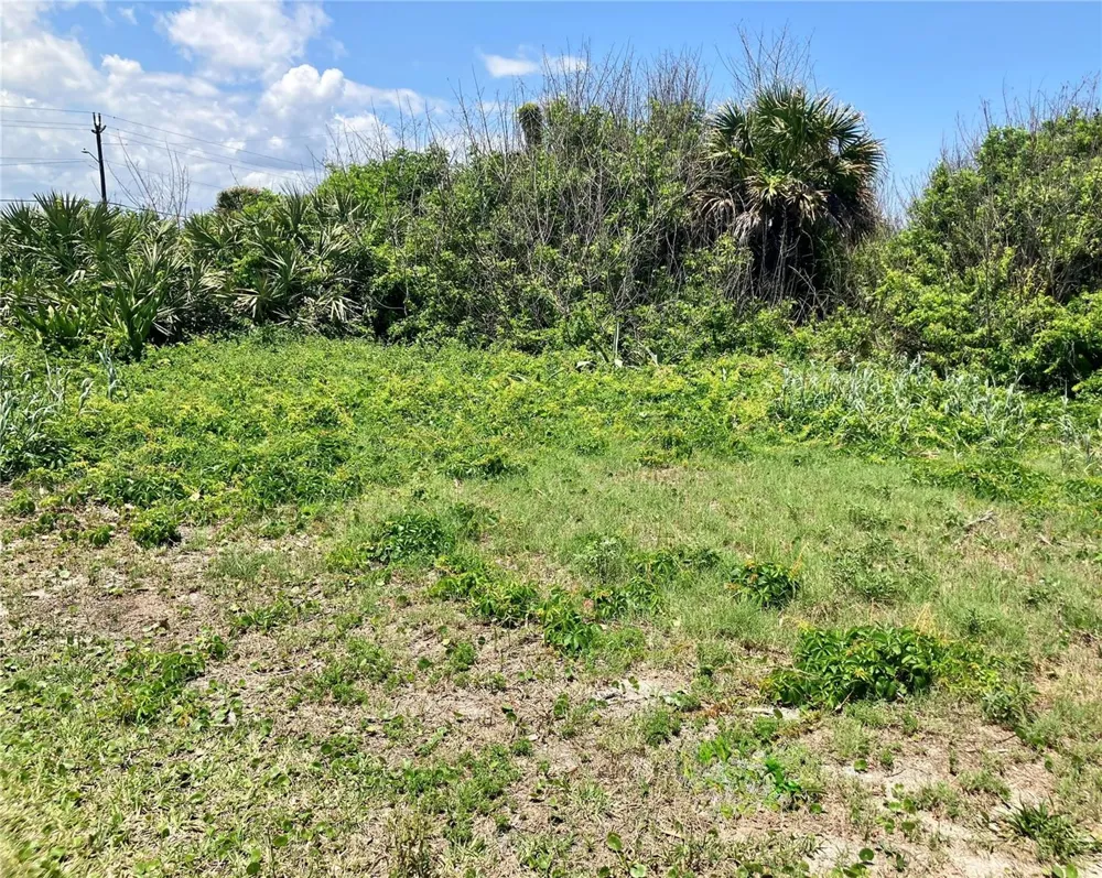 6000 S ATLANTIC AVENUE New Smyrna Beach, FL 32169
