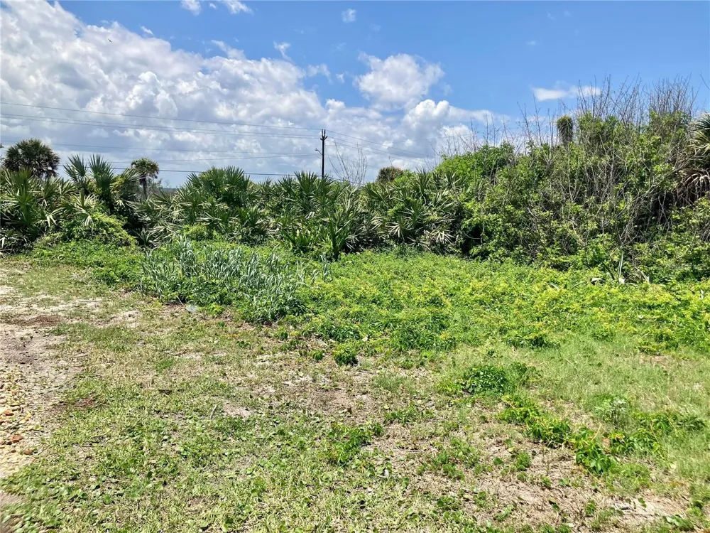 6000 S ATLANTIC AVENUE New Smyrna Beach, FL 32169