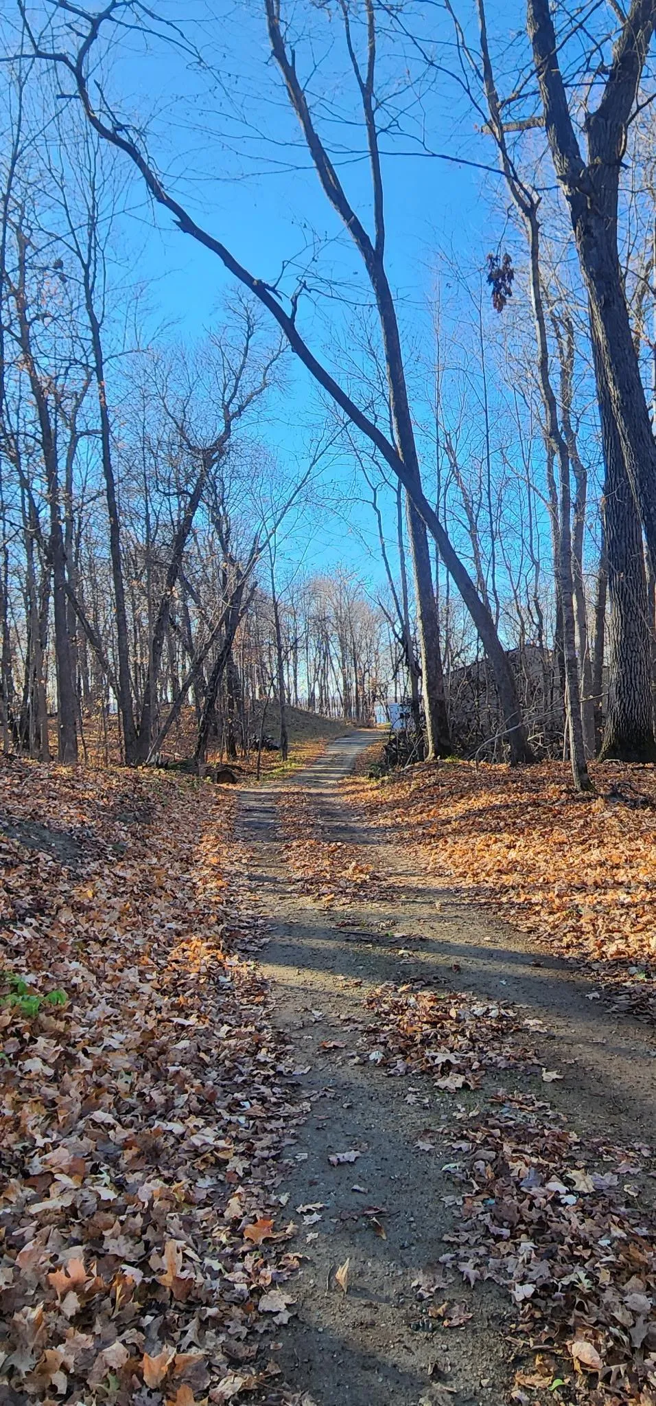 XXXX Diamond Trail NW Walker, MN 56484